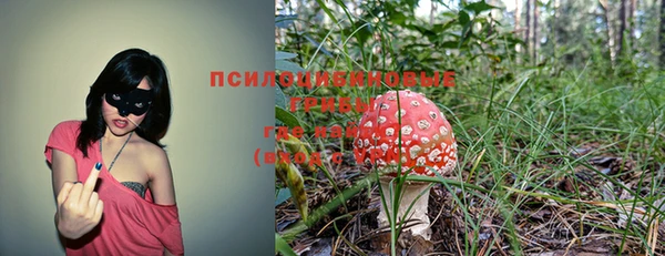 кокаин Алексеевка
